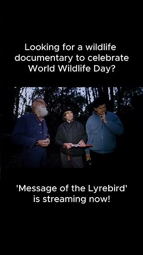 Message of the Lyrebird: a new Australian nature documentary
