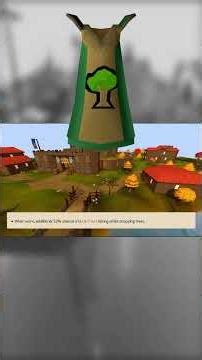 Top 5 WORST SKILLCAPES in OSRS