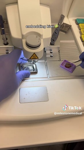 Let’s embed kiwi on our embedding center to prepare to look at it under the microscope! Embedding is one of the many steps in the histology process- where samples are embedded in paraffin wax for cutting on the microtome. Want to see it under the microscope? Stay tuned! #histology #pathology #tissueprocessing #embedding #histotechnology