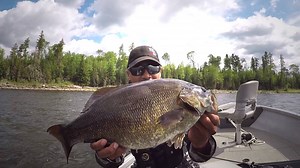 Manitoba mid-summer heat means hot walleye and bass fishing! At least it does on the Quesnel chain of lakes out of Q Lake Lodge. On a recent trip to this fabulous drive-to Eastern Region destination, we alternated between targeting hungry schools of walleyes and pods of lunker smallmouth bass. Believe us they were not hard at all to find. www.qlakelodge.com #HuntFishMB #TMBpartner Q Lake Lodge | Fishing & Hunting in Manitoba