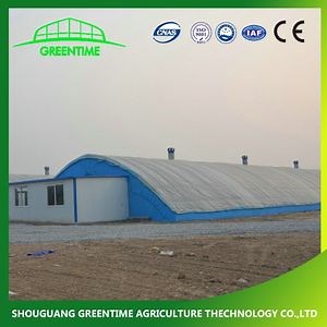 [Hot Item] Tunnel Greenhouse with Ventilation/Cooling/Heating System