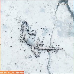 5.3K views | Oddly Satisfying Video Newest Compilation Amazing Things You Have Never Seen | Things That Fit Perfectly Onto Other Things | Facebook