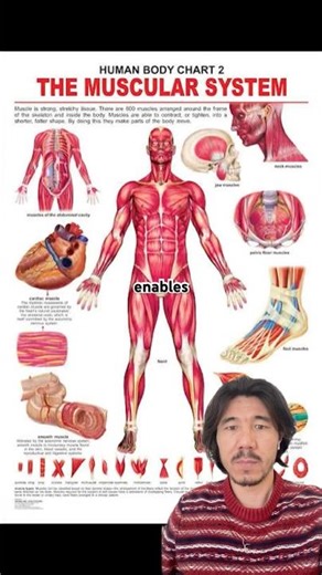 6 Body Systems You Should Know #shorts