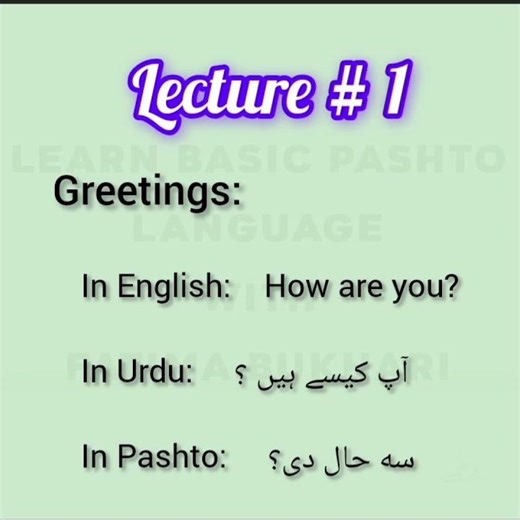 Pashto Language Basics Workshop Lecture No 1 🐥