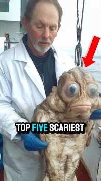 5 SCARIEST Unknown Creatures Caught on Camera