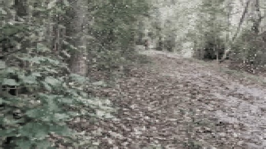 Vile: Director's Cut - Official Trailer | The Indie Horror Showcase 2024