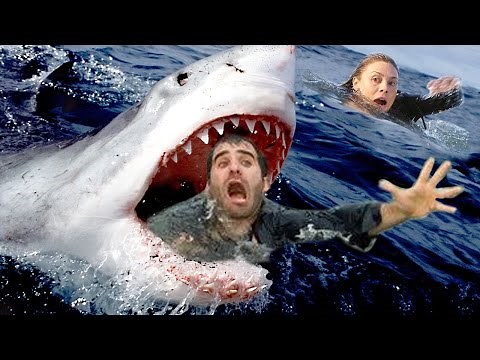 Top 10 Deadliest Shark Attacks