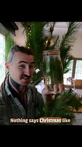 Nothing says Christmas like turning your tree into a drink. A bunch of fresh pine needles, rinsed and chopped. Into a jar with water and a bit of sugar, topped up and given a good shake. Let it do its thing and you've got yourself a little bottle of Christmas spirit. There is exact measurements you can find recipes online. but I like to just have fun with it, make it a bit of an experiment. Make some today and enjoy on Christmas! This is the Radiata pine (Pinus radiata) #ChristmasVibes #Christma