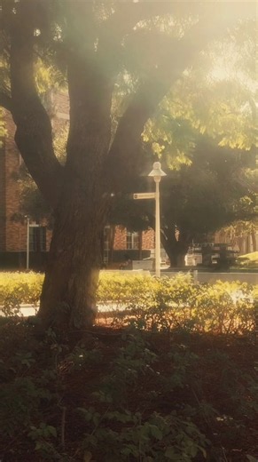 Chapman University Videography
