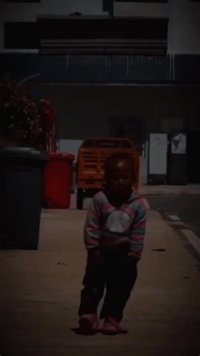 Moments of Nature: Majestic Eagles in Flight