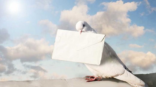 What Can Travel Around The World While Staying In a Corner? Riddle Explained