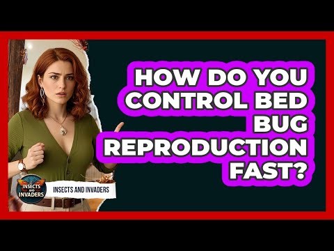 How Do You Control Bed Bug Reproduction Fast? - Insects and Invaders
