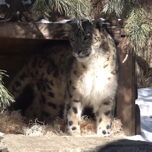 March to the Zoo this Saturday (3/1) for Family Free Day! All guests are admitted FREE! Hours are 9:30am-4:30pm. (Parking and regular attraction fees still apply.) Special thanks to Tri City National Bank & FOX6 | Milwaukee County Zoo