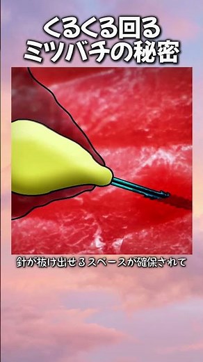 くるくる回るミツバチの秘密