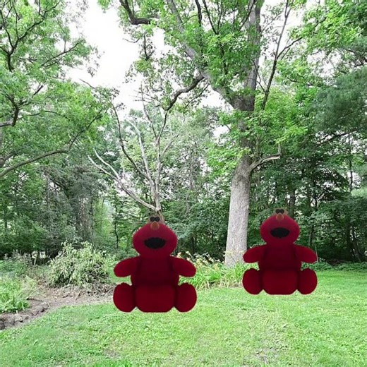 Elmo’s They Are Outside Of My Old Backyard