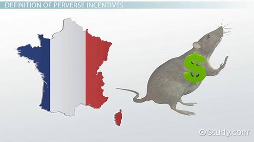 Perverse Incentives | Overview & Examples
