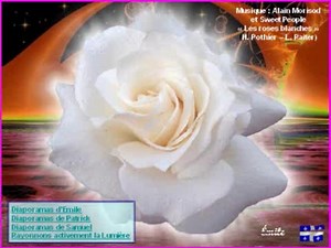 Des  roses  blanches  pour  maman