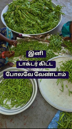 3.8K views · 149 reactions | www.papaskitchen.in - WhatsApp 8667483049 | Papa's Kitchen | Facebook