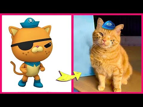 Octonauts Characters And Their Monster, Favorite Pets & Other Favortes! | Kwazii & Captain Barnacles