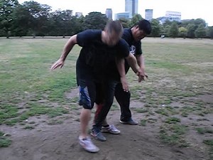 Fighting Arts - Yin Style Bagua - Shocking strikes