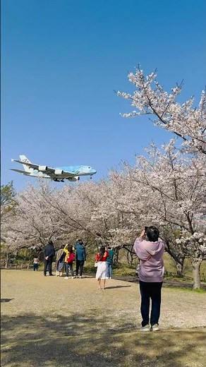 Take off #viral #viralvideo #viralshorts #viraltiktok