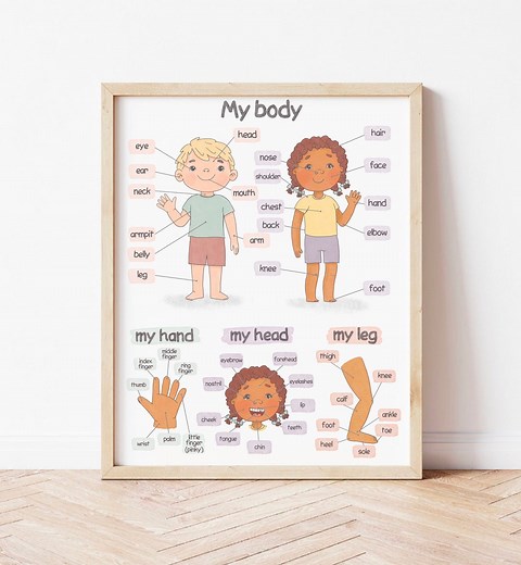 Body Parts Poster Montessori Homeschool Educational Posters for Toddlers Human Body Downloadable Prints Preschool Kids Anatomy Poster - Etsy