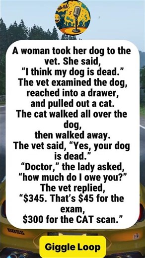 The Vet, The “Dead” Dog, And The Shockingly Honest Bill#funny#joke#humor