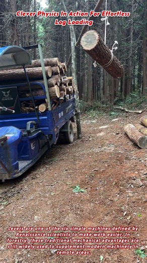 Clever Physics In Action For Effortless Log Loading