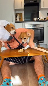 It was calm before the storm… LITERALLY 🤯 even Kiki went flying today! It’s fair to say they love pumpkin pie! Thankfully (for dad) it’s a once a year dish 🤣 What dish should we put in the jar next?! #dog #beagle #funnydog #viralvideos #dogsofinstagram #viral #beaglesofinstagram #cookingwithbeagles #dogsofig #dogs | Beagles Kiki & Koko