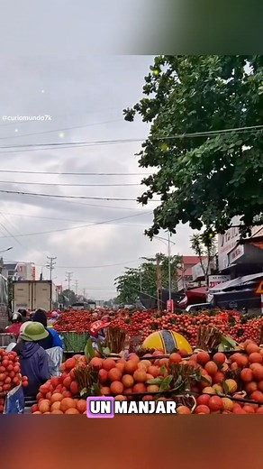 7.2K views · 101 reactions | el cultivo de lichi es enorme en china #cultivo #agricultura #lichi #fruit | Curiomundo7K | Facebook
