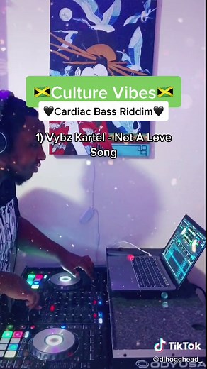 Cardiac Bass Riddim Mix #fyp #dj #djmix #bahamiantiktok #ThankYouHoggHead #culture