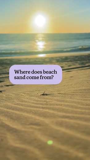 66K views · 885 reactions | We all love a trip to the beach, but have you ever wondered where all the sand comes from? ️ From crushed marine life to rocks eroded miles inland, the sand beneath our feet is part of a dynamic and ancient cycle connecting the bush, river, and sea. ️: Chris Lewis : Tim Carrier | ABC Science | Facebook