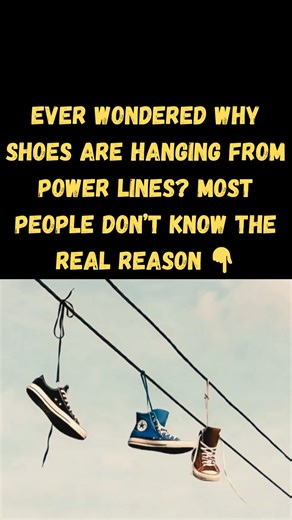 Ever notice shoes hanging from power lines and wondered why? Most people have no idea what it really means. Discover the surprising story behind this common urban sight 👇 #DidYouKnow #RandomFacts #StreetCulture | Mycozytips