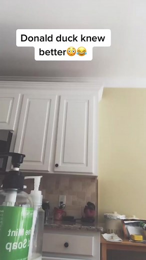 Mickey Mouse wasn’t playing around 😂😂 #tal_on #comedy #donaldduck #mickeymouse #fyp