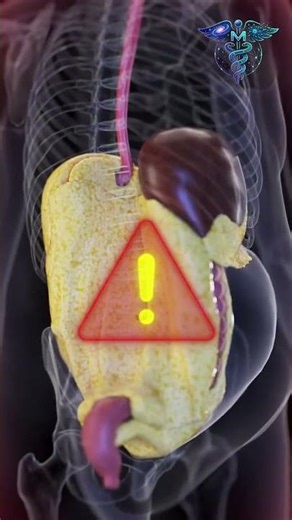 Inside Your Body Right Now 😳 | 3D Medical Animation #shorts