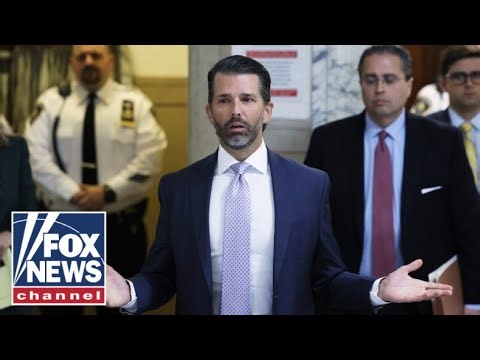 Donald Trump Jr speaks outside court on civil trial: 'Destructive' and 'insane'