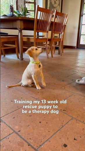 Starting with the basics! In the video it looks like Norbert is watching over us 🥹