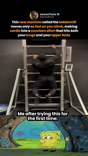 This new machine called the laddermill moves only as fast as you climb, making cardio into
