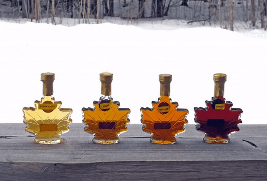 15 Maple Syrup Festivals & Experiences in Greater Toronto Hamilton Area - 2026