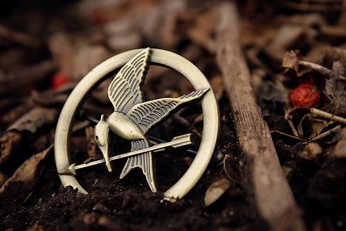 Hunger Games in the Classroom: Engaging Lessons, Activities, and Printables for Students