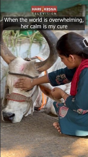 In a noisy world, find peace in her silence. #shorts