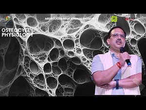 Osteocyte: What It Is, Why It Matters, and How It Works.