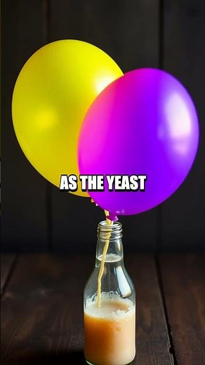 Yeast and Sugar Balloon Experiment: A Lesson in Fermentation