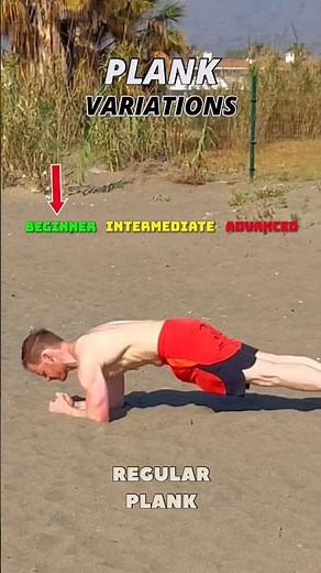 Plank Variations for All Levels | Beginner to Advanced Core Workout