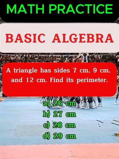 Understanding Triangle Perimeter Calculation