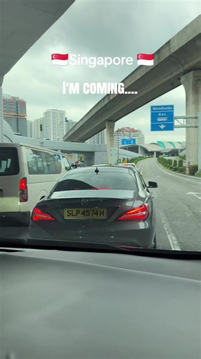 Discover Daily Life in Singapore: A Local Perspective