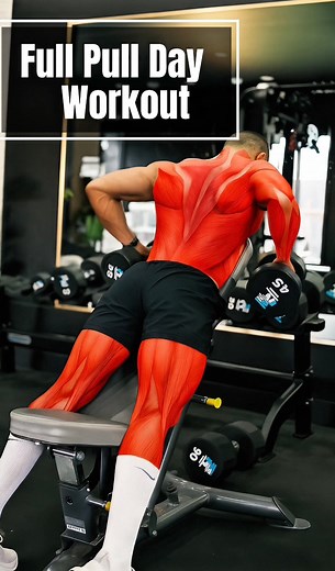 TOP CLASS MUSCLE IQ Full Pull Day Workout ਲਾ ਕੇ ਦੇਖਿਓ 100% ਗਰੰਟੀ ਆ ਦੂਜੇ- ਤੀਜੇ ਦਿਨ ਸਾਰੀ ਬੈਕ ਆਕੜ ਜੂ ਗਰੋਥ ਦੇਖਿਓ..@1inevery1 @pinkajarg @fastingtechnique @hmrawtalk | Harry Mander