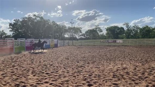 Macie (@macie.c)’s videos with Hall of Fame (feat. will.i.am) - The Script