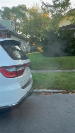 Lisa Stewart on Reels