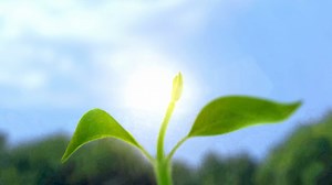  Did you know the benefits of grow light for your plants?  LED...